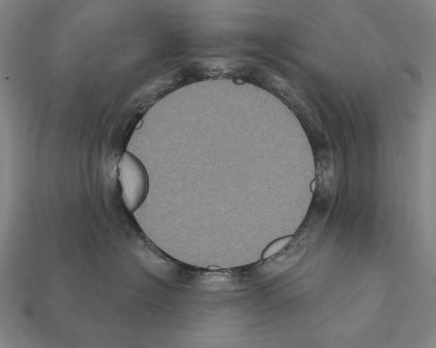 X0000112030574200909141059