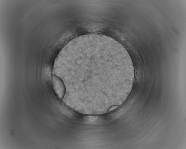 X0000112030575200909141059