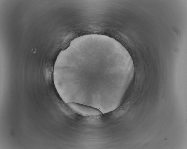 X0000112030576200909141059