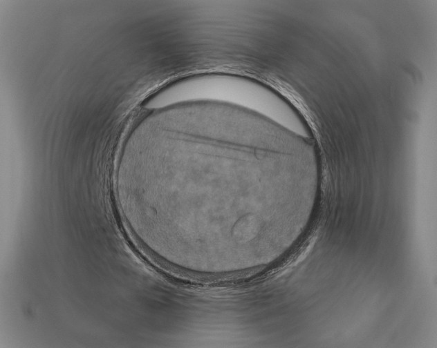 X0000112030577200909141058