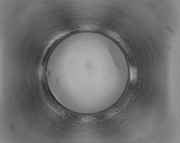 X0000112030579200909141058