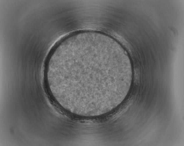 X0000112030580200909141058