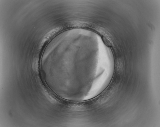 X0000112030581200909141058