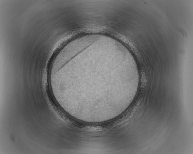 X0000112030582200909141058