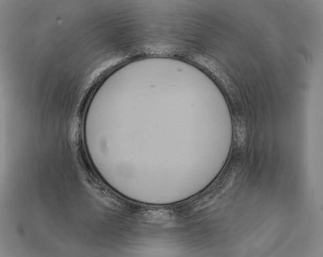 X0000112030583200909141058