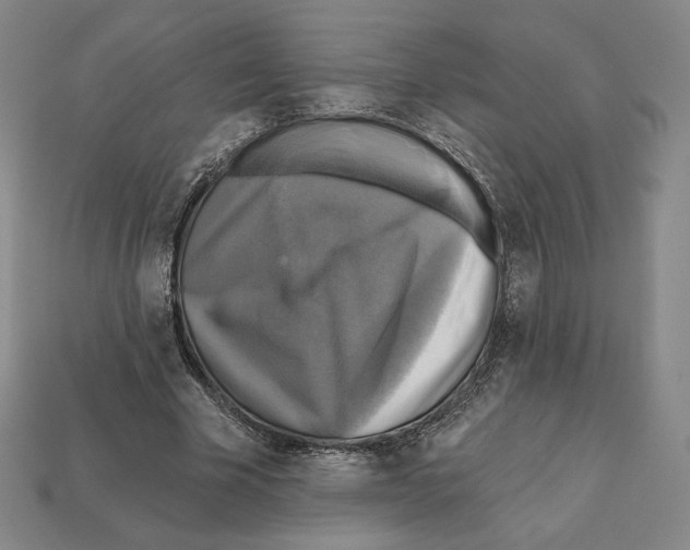 X0000112030585200909141058