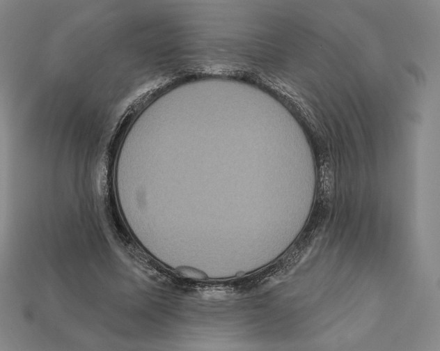 X0000112030587200909141058