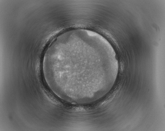X0000112030588200909141058