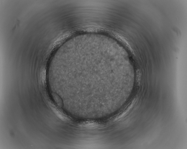 X0000112030589200909141058