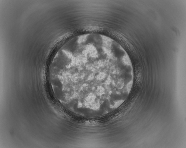 X0000112030591200909141058