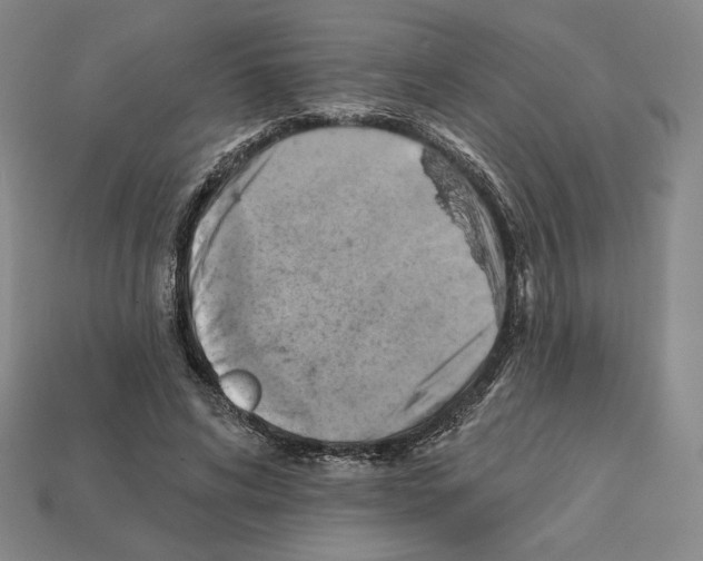 X0000112030592200909141058