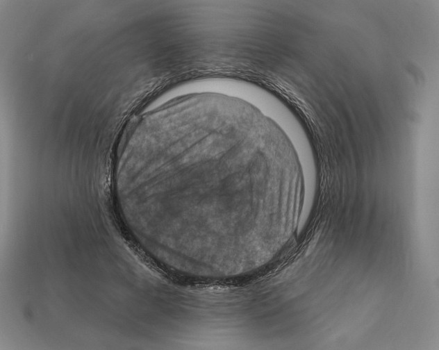 X0000112030593200909141058