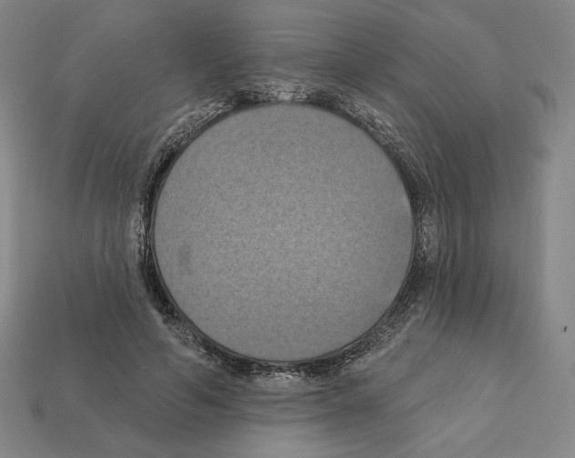 X0000112030594200909141058