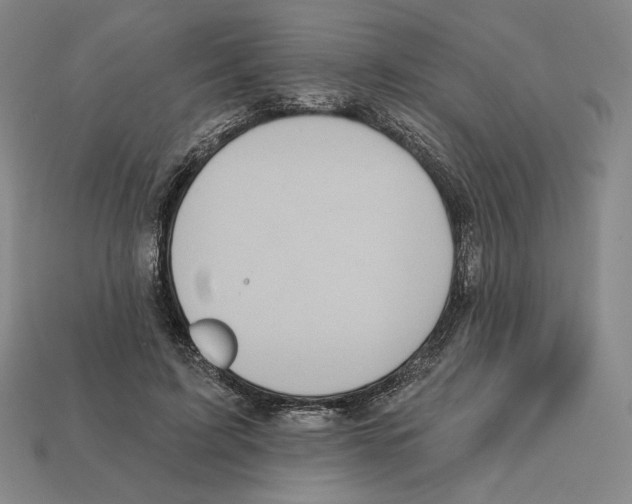 X0000112030595200909141058