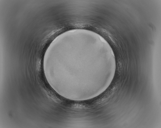 X0000112030596200909141058