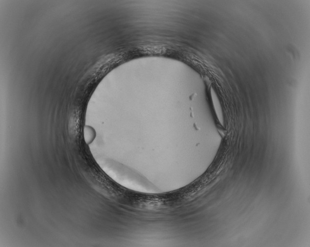 X0000112030600200909141058