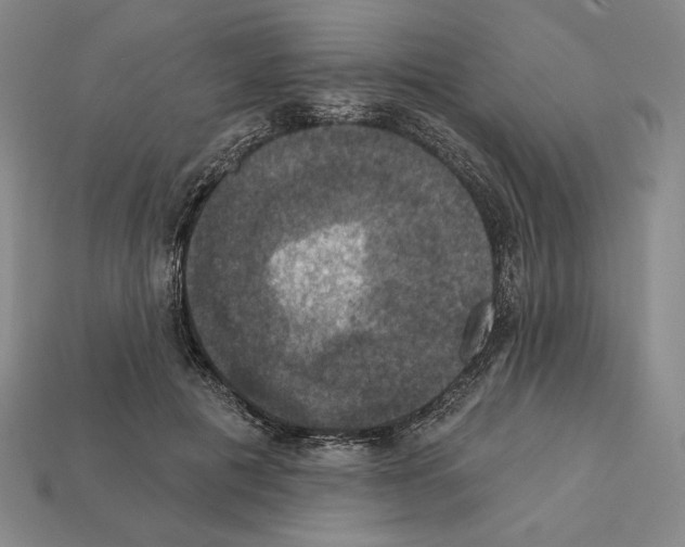X0000112030601200909141058
