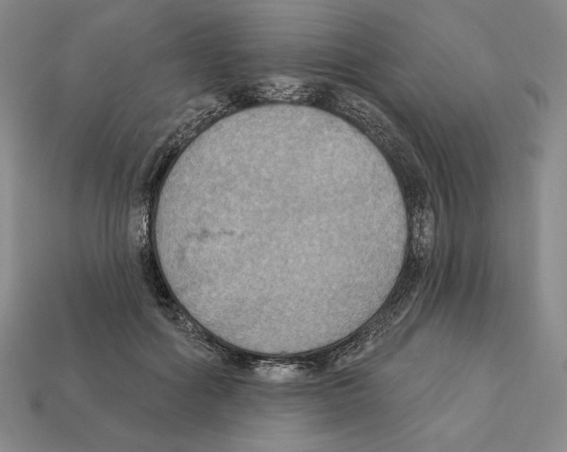 X0000112030602200909141058