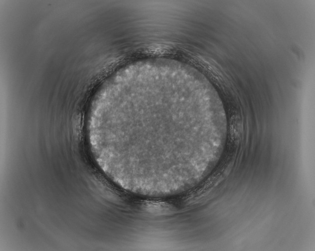 X0000112030605200909141058