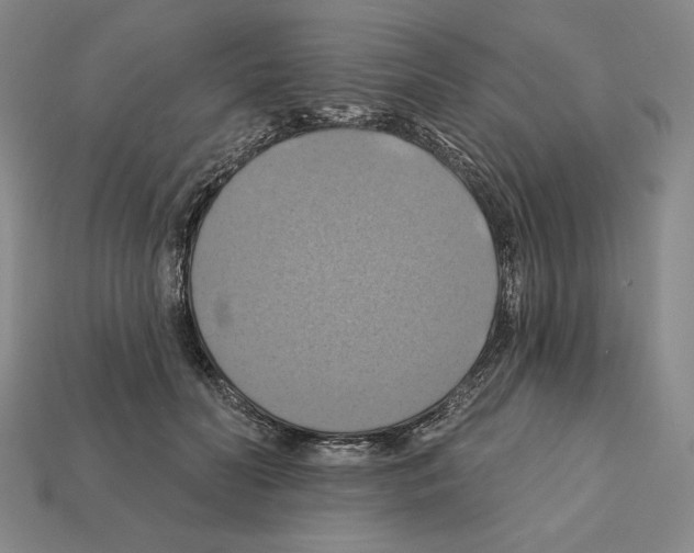 X0000112030606200909141058