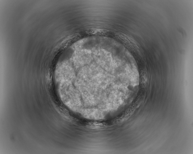 X0000112030607200909141058