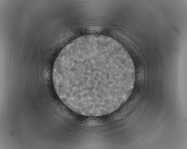 X0000112030608200909141058