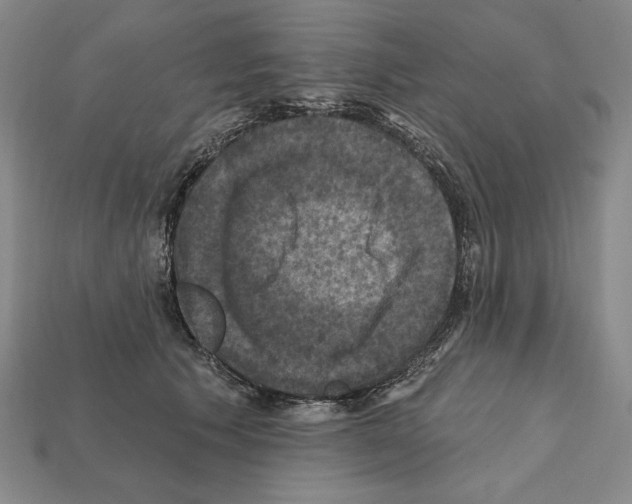 X0000112030609200909141058