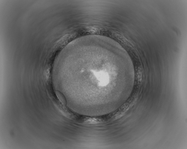 X0000112030611200909141058