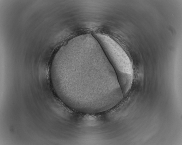 X0000112030613200909141058