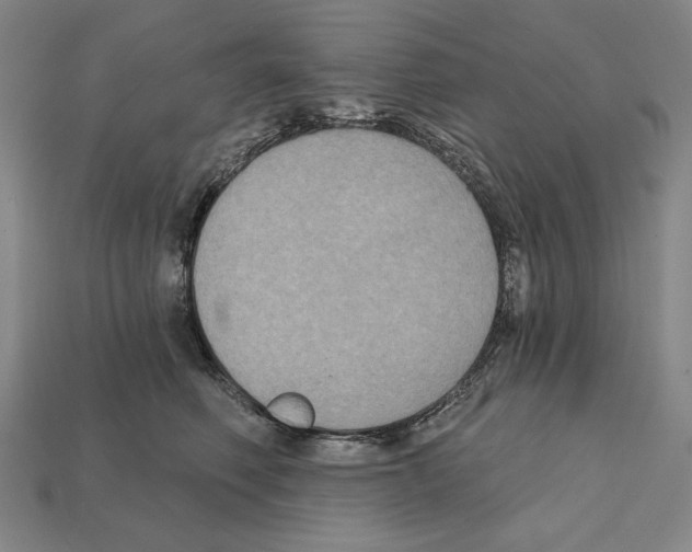 X0000112030614200909141058