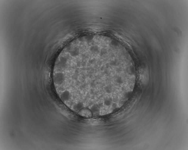 X0000112030615200909141058