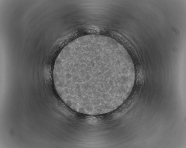 X0000112030616200909141058