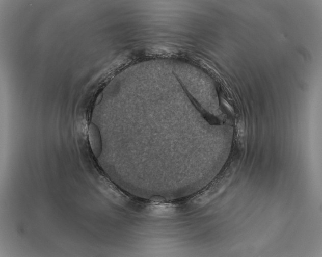 X0000112030617200909141058
