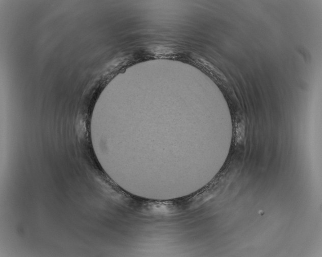 X0000112030618200909141058