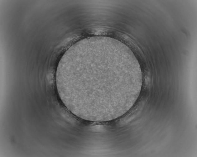 X0000112030620200909141058