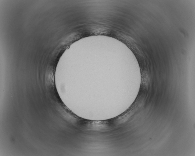 X0000112030622200909141058