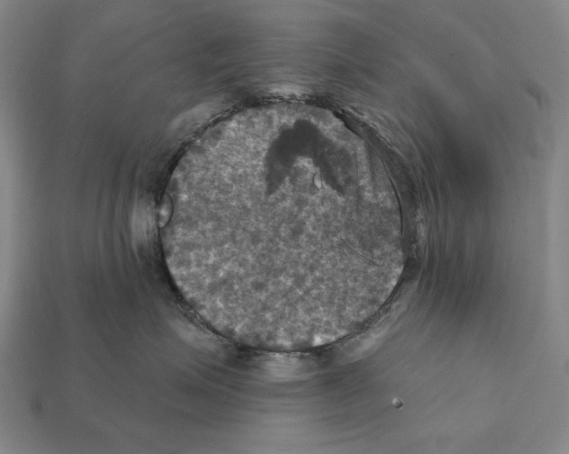 X0000112030623200909141058