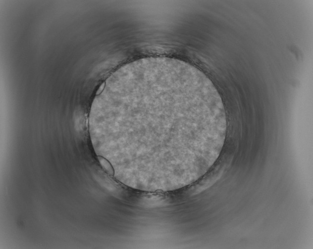 X0000112030624200909141058
