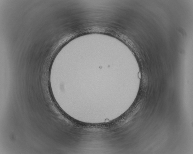 X0000112030625200909141057