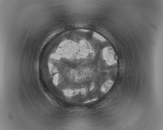 X0000112030626200909141057