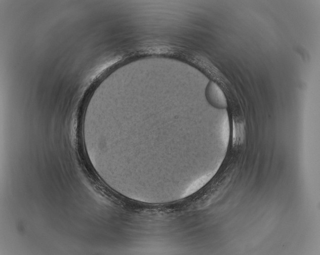X0000112030627200909141057