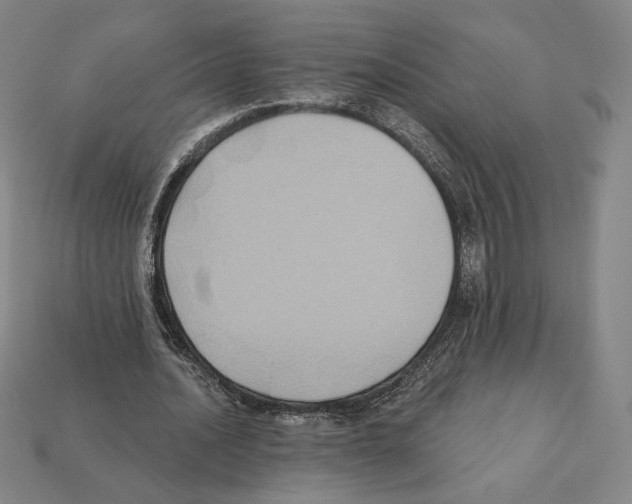 X0000112030628200909141057