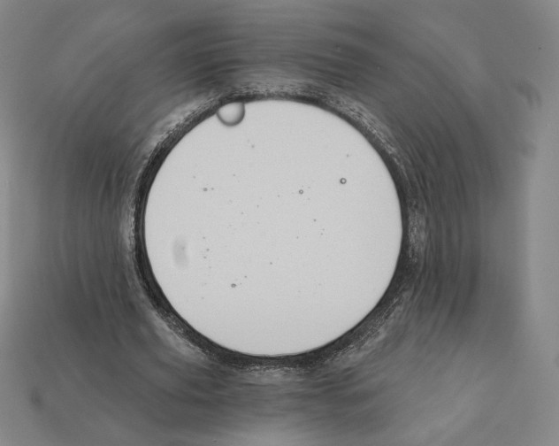 X0000112030629200909141057