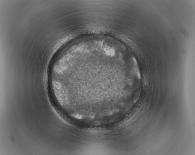 X0000112030630200909141057