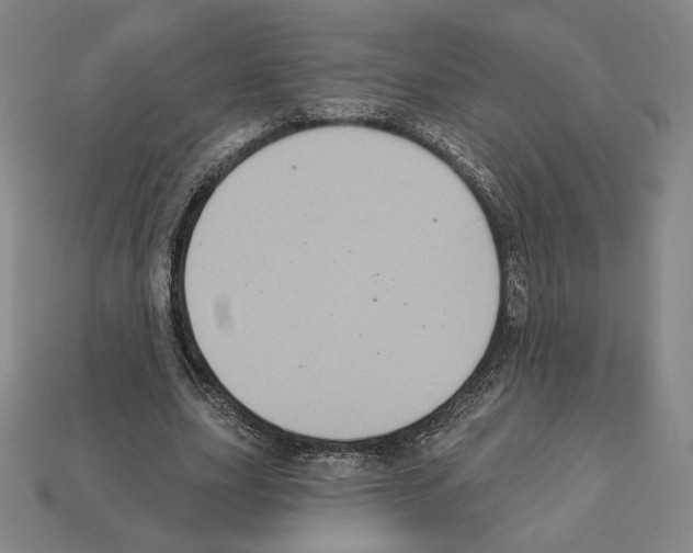 X0000112030631200909141057