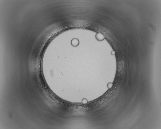 X0000112030632200909141057