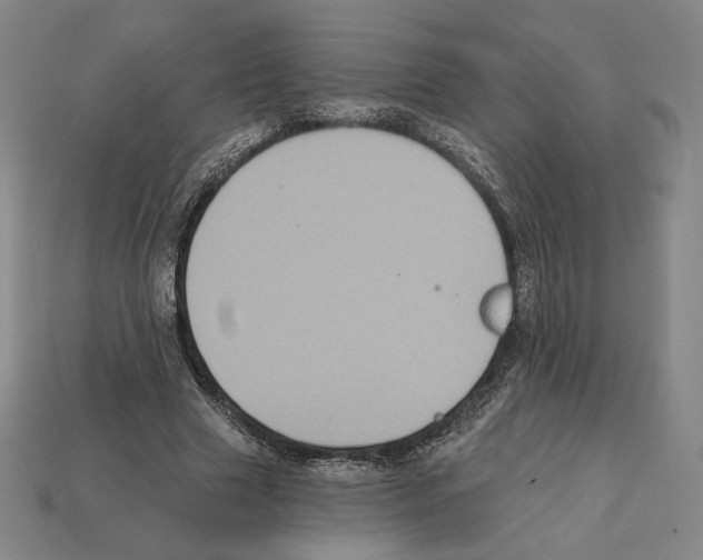 X0000112030633200909141057