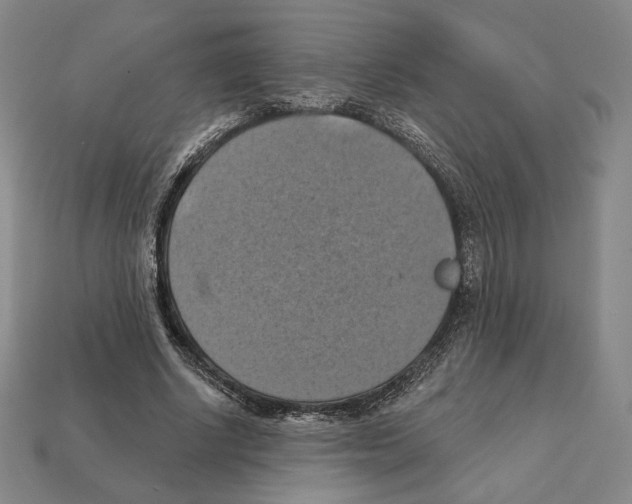 X0000112030634200909141057