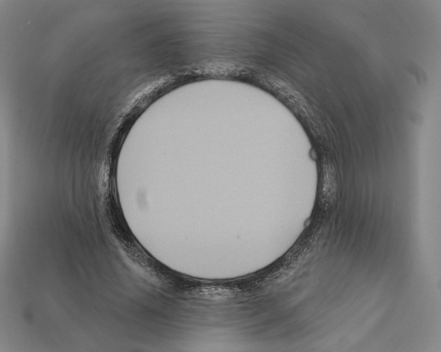 X0000112030636200909141057