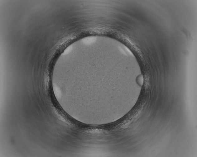 X0000112030637200909141057